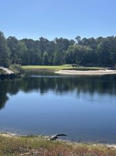 True Blue 3rd Gator 2025 Vertical